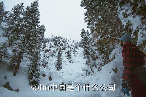 soho中國是個(gè)什么公司