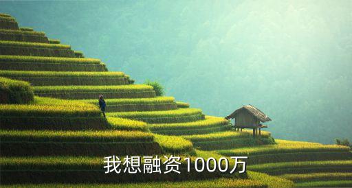 我想融資1000萬(wàn)