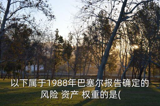 以下屬于1988年巴塞爾報(bào)告確定的 風(fēng)險(xiǎn) 資產(chǎn) 權(quán)重的是(