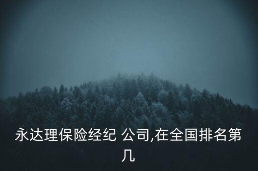 永達(dá)理保險(xiǎn)經(jīng)紀(jì) 公司,在全國排名第幾