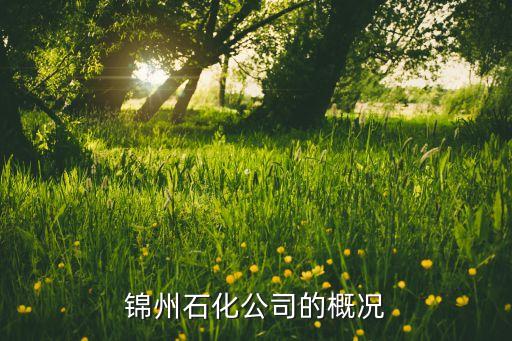 錦州石化公司的概況