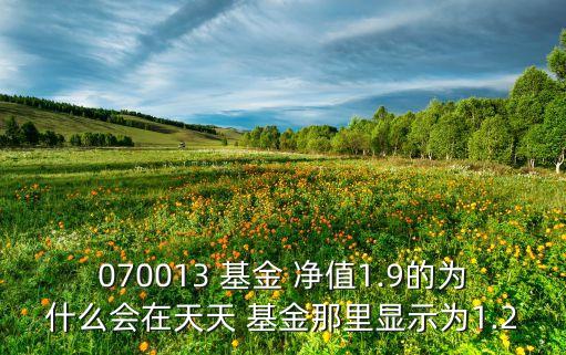 嘉實(shí)新消費(fèi)基金凈值,嘉實(shí)滬深300基金凈值160706