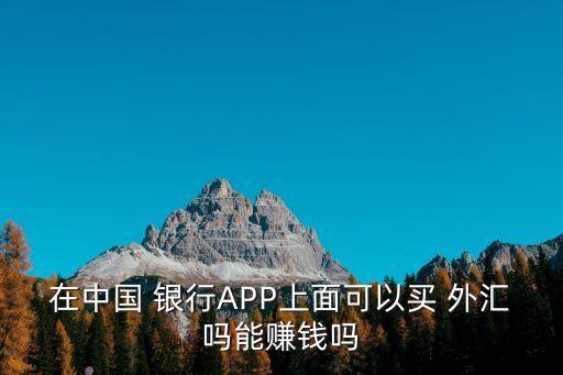 在中國 銀行APP上面可以買 外匯嗎能賺錢嗎