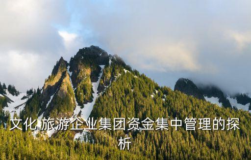 北京京西旅游公司財務(wù)分析,2023旅游公司財務(wù)分析