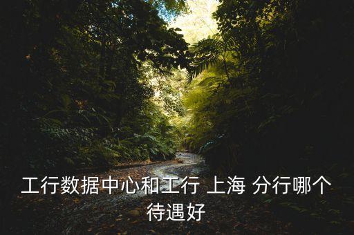 工行數(shù)據(jù)中心和工行 上海 分行哪個(gè)待遇好