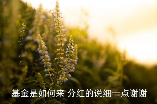 000457基金分紅,上投摩根核心成長(zhǎng)基金000457