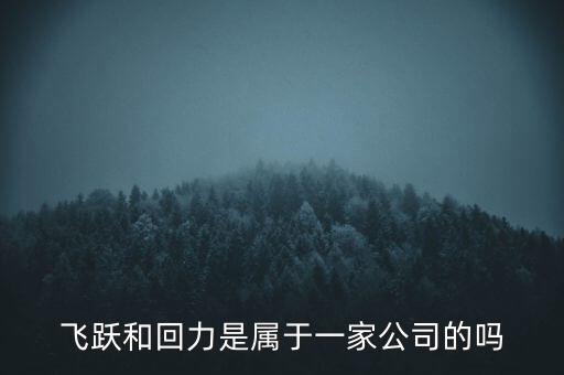 飛躍和回力是屬于一家公司的嗎