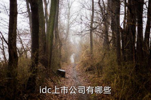 idc上市公司有哪些