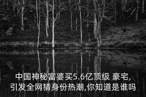 中國(guó)神秘富婆買5.6億頂級(jí) 豪宅,引發(fā)全網(wǎng)猜身份熱潮,你知道是誰(shuí)嗎