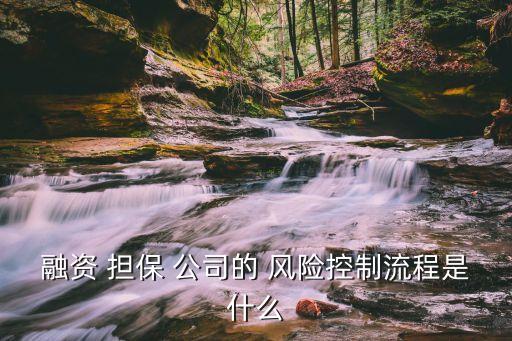 擔(dān)保公司擔(dān)保風(fēng)險(xiǎn)