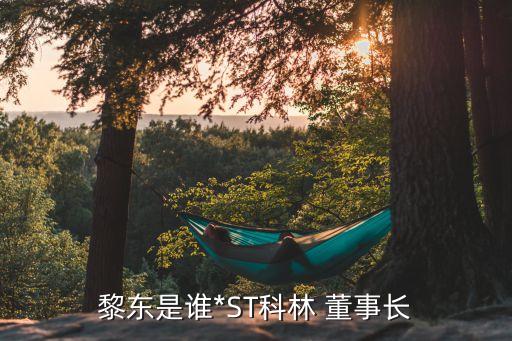 黎東是誰(shuí)*ST科林 董事長(zhǎng)