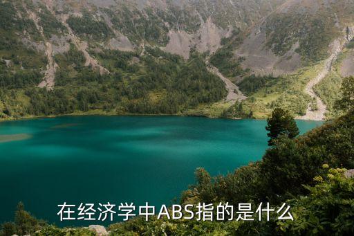 在經濟學中ABS指的是什么