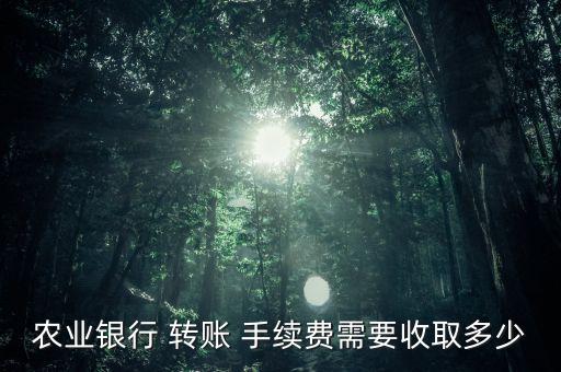 農業(yè)銀行 轉賬 手續(xù)費需要收取多少