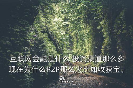  互聯(lián)網(wǎng)金融是什么 投資渠道那么多現(xiàn)在為什么P2P那么火比如收獲寶、私...