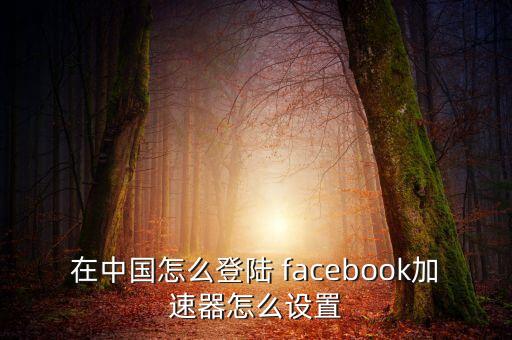 如何在中國用ipad上facebook