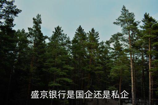 盛京銀行股份有限公司獨(dú)立董事,新華都購物廣場股份有限公司獨(dú)立董事