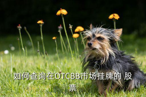 如何查詢?cè)贠TCBB市場(chǎng)掛牌的 股票