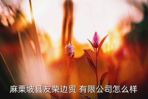 麻栗坡縣友榮邊貿 有限公司怎么樣