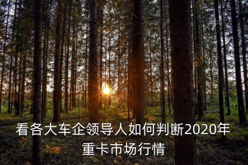 看各大車(chē)企領(lǐng)導(dǎo)人如何判斷2020年重卡市場(chǎng)行情