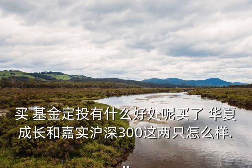 買 基金定投有什么好處呢買了 華夏成長和嘉實(shí)滬深300這兩只怎么樣...