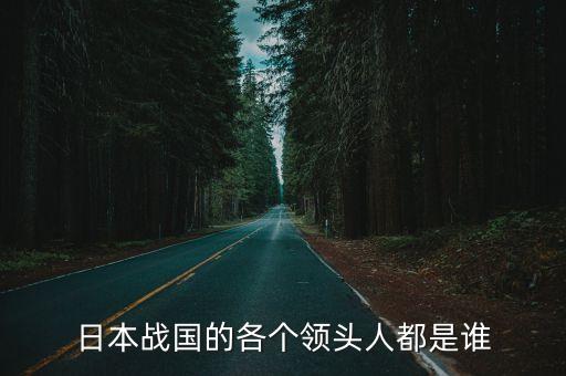 日本戰(zhàn)國的各個領(lǐng)頭人都是誰