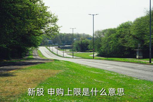 新股 申購上限是什么意思