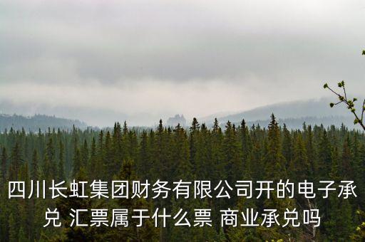 四川長虹集團財務有限公司開的電子承兌 匯票屬于什么票 商業(yè)承兌嗎