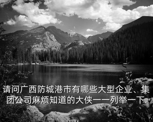 請問廣西防城港市有哪些大型企業(yè)、集團公司麻煩知道的大俠一一列舉一下...