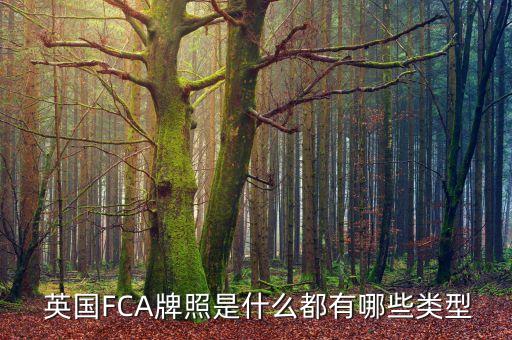  英國(guó)FCA牌照是什么都有哪些類型