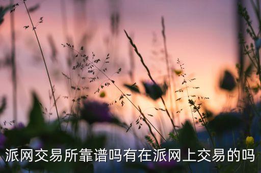 派網(wǎng)交易所靠譜嗎有在派網(wǎng)上交易的嗎