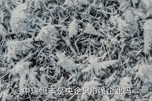  中瑞恒豐是央企500強(qiáng)企業(yè)嗎