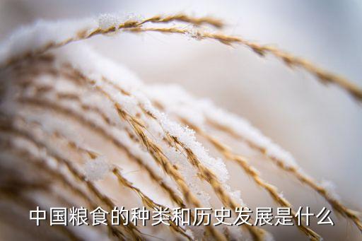 中國糧食的種類和歷史發(fā)展是什么