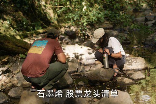 石墨烯 股票龍頭清單