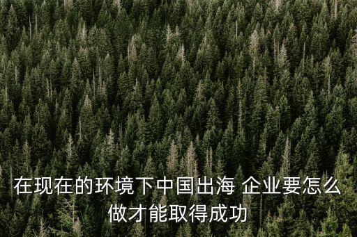 在現(xiàn)在的環(huán)境下中國出海 企業(yè)要怎么做才能取得成功