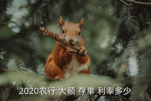 2020農行 大額 存單 利率多少