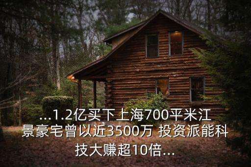 ...1.2億買下上海700平米江景豪宅曾以近3500萬 投資派能科技大賺超10倍...