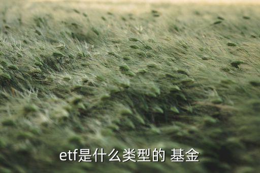 etf是什么類型的 基金