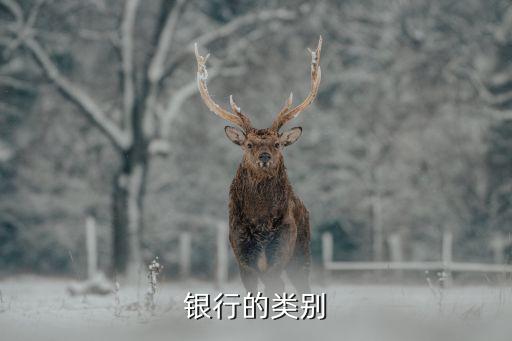 銀行的類別