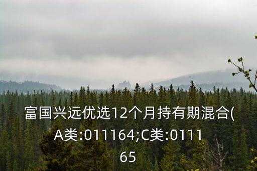  富國興遠優(yōu)選12個月持有期混合(A類:011164;C類:011165