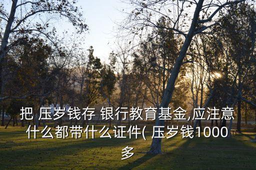 把 壓歲錢存 銀行教育基金,應注意什么都帶什么證件( 壓歲錢1000多