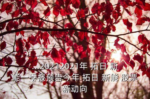 ...20212021年 拓日 新能一季報預(yù)告今年 拓日 新能 股票新動向