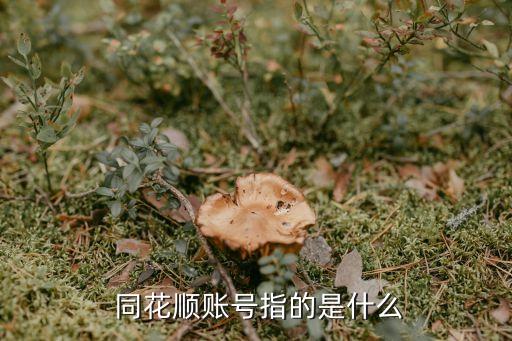 同花順愛基金賬戶注銷,支付寶基金賬戶怎么同步到同花順