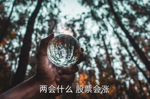 兩會(huì)什么 股票會(huì)漲