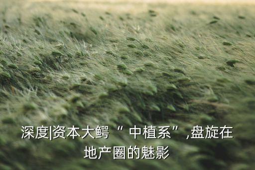 中植集團收購宇順電子,中植系增持宇順電子