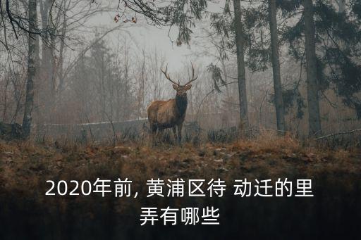 2020年前, 黃浦區(qū)待 動遷的里弄有哪些