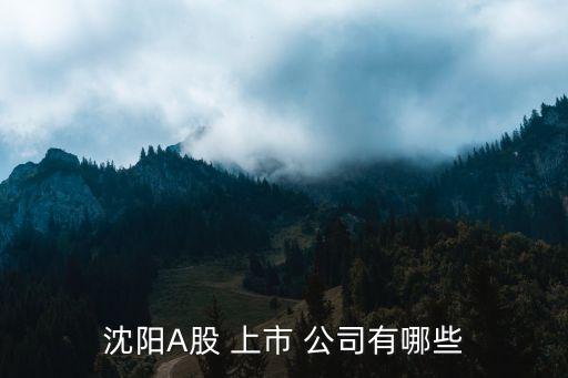 沈陽(yáng)A股 上市 公司有哪些