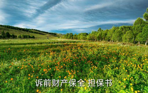 陜西金譽擔(dān)保有限公司,陜西龍盛金譽建設(shè)工程有限公司