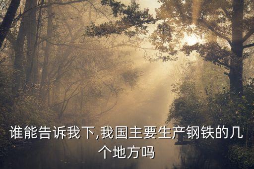 誰能告訴我下,我國主要生產(chǎn)鋼鐵的幾個(gè)地方嗎