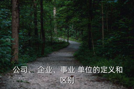 地方政府單位與企業(yè)共同成立公司,政府單位和企業(yè)可以共同作為活動(dòng)主辦方么