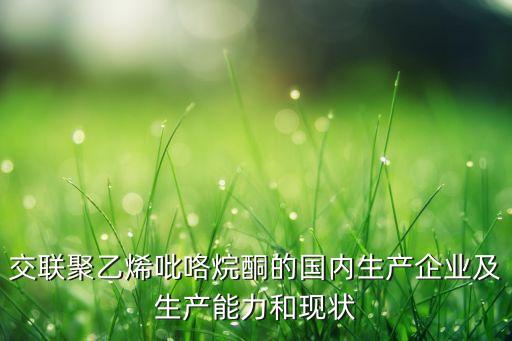 交聯(lián)聚乙烯吡咯烷酮的國內(nèi)生產(chǎn)企業(yè)及生產(chǎn)能力和現(xiàn)狀